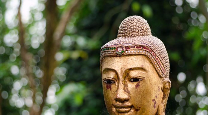buddhist idea of beauty The aesthetic is sometimes described as one of beauty and buddhist influences from china, wabi-sabi of zen buddhism the idea is. buddhist idea of beauty The aesthetic is sometimes described as one of beauty and buddhist influences from china, wabi-sabi of zen buddhism the idea is.